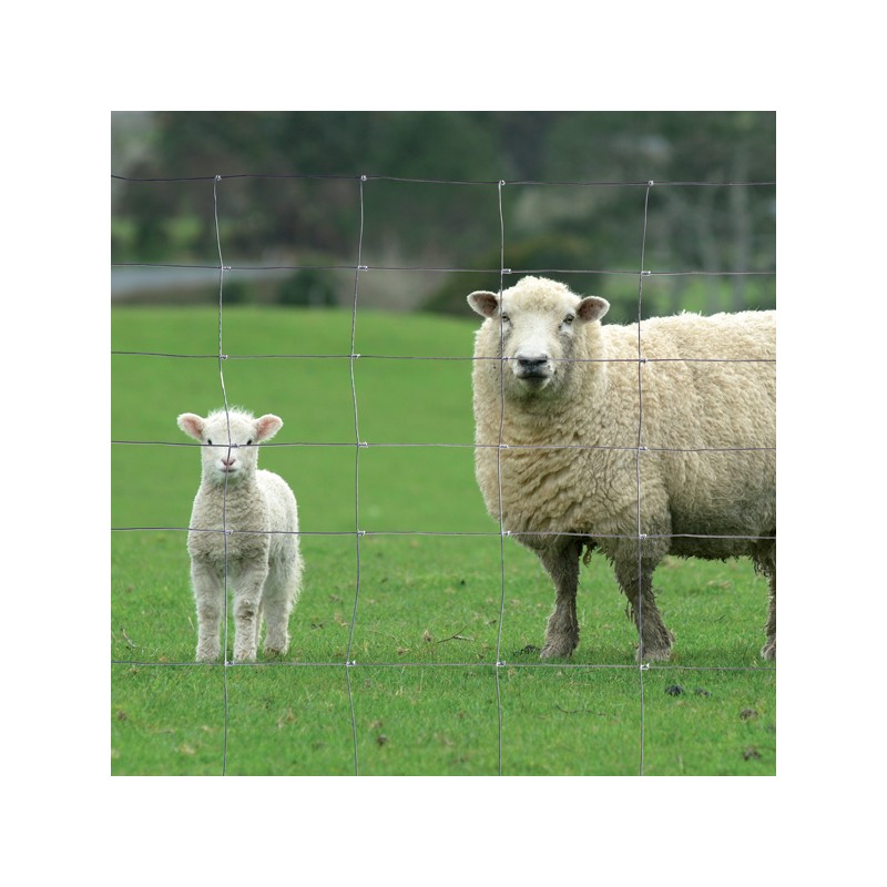 Grillage à moutons 1.50 m x 50 m - Pour Bricoler Malin 25
